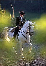 Fredeke Strauss Reittrainerin Marc de Broissia Fredeke Strauss Reittrainerin Marc de Broissia