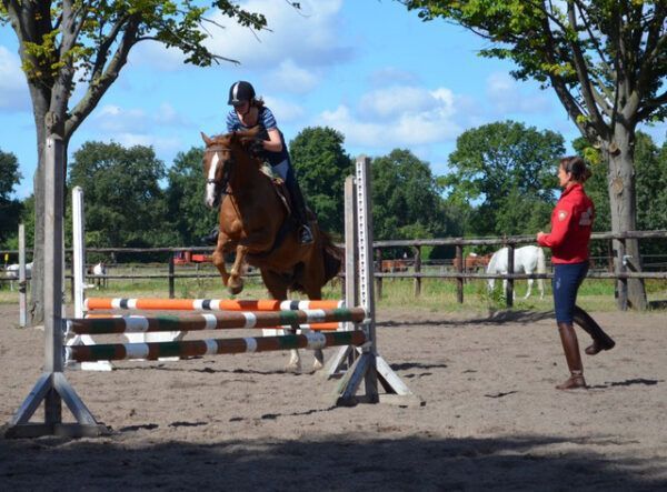 Fredeke Strauss Reittrainerin Fredeke Strauss Reittrainerin